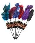 Sportsheets Ostrich Feather Ticklers - Asst. Colors Dozen