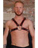 Rouge Chest Harness Large - Black-red